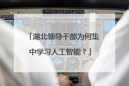 湖北领导干部为何集中学习人工智能？